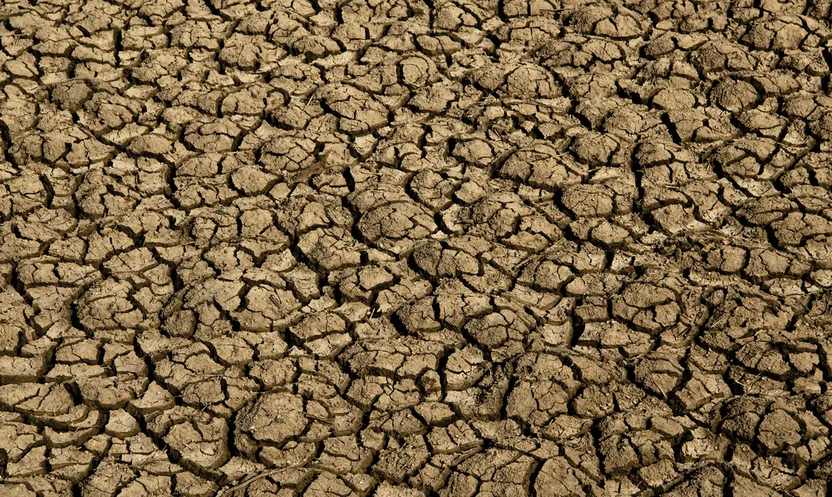 Risco de desertificação no Brasil ameaça segurança hídrica e alimentar País participará de conferência global na Mongólia sobre o tema