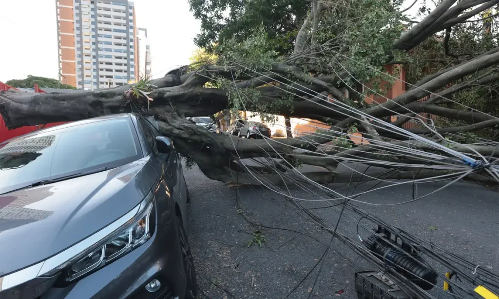 Respostas à crise climática exigem inovação, defende setor elétrico  Tema foi debatido em encontro promovido pela Aneel em Brasília
