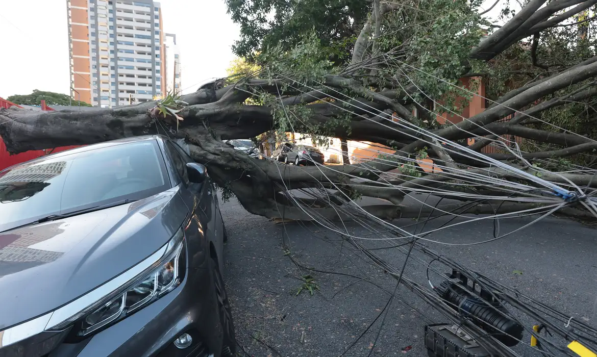 Respostas à crise climática exigem inovação, defende setor elétrico  Tema foi debatido em encontro promovido pela Aneel em Brasília