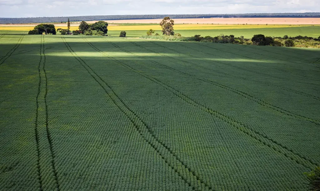 CMN amplia renegociação de dívidas rurais ligadas a eventos climáticos Medida permite recomposição de débitos que ficaram fora da regra