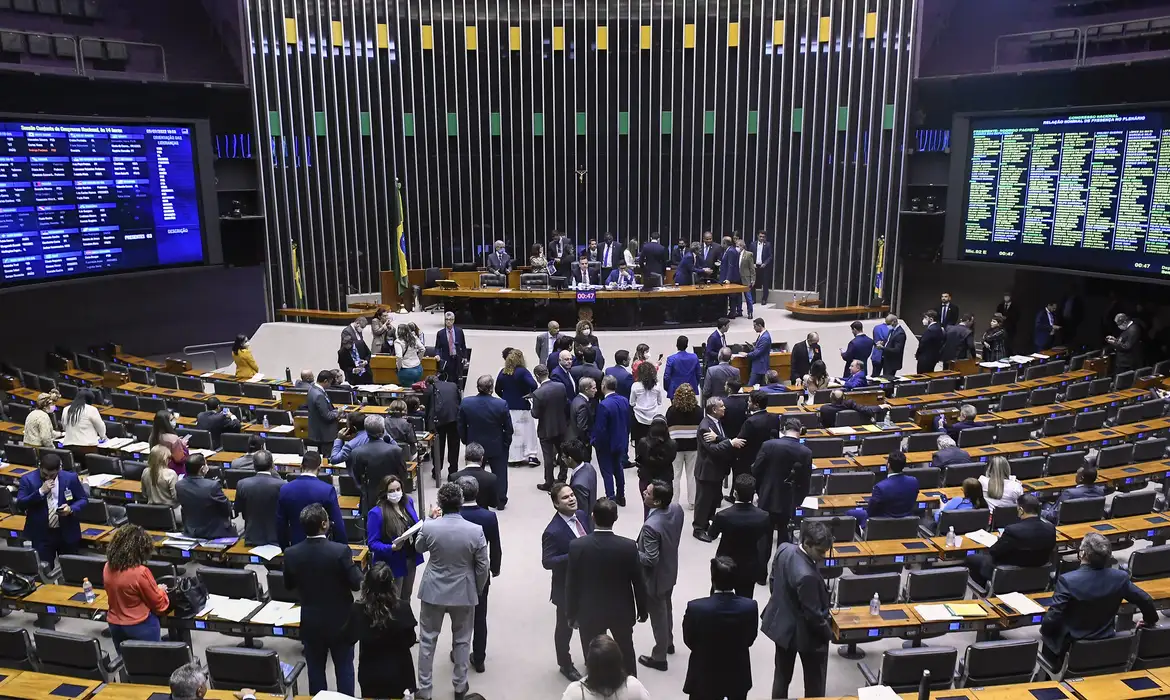 Representação de parlamentares negros segue baixa, diz pesquisadora Número de pretos e pardos na Câmara cai de 139 para 135