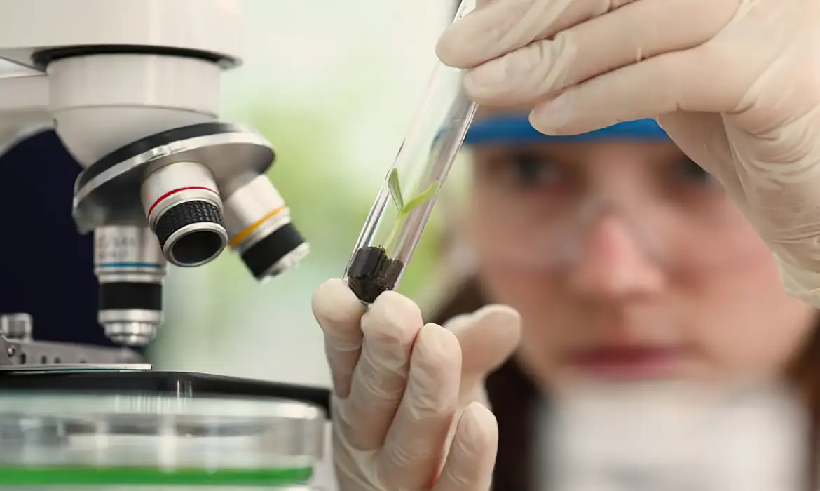 Imersão científica leva alunas e professoras a centros tecnológicos Oportunidade faz parte do Programa Futuras Cientistas, do MCTI